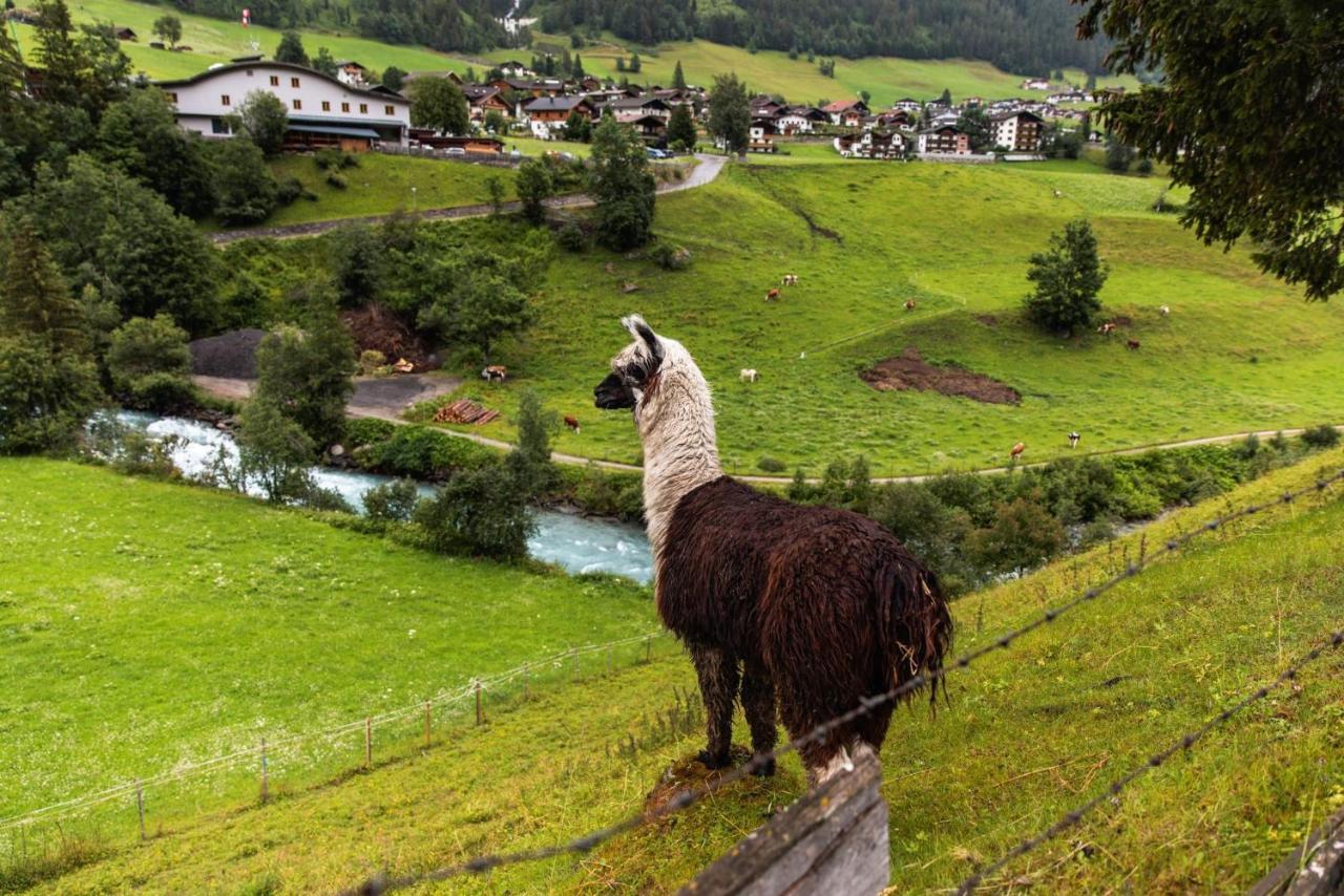 Ferienhaus Enzian Prägraten Buitenkant foto